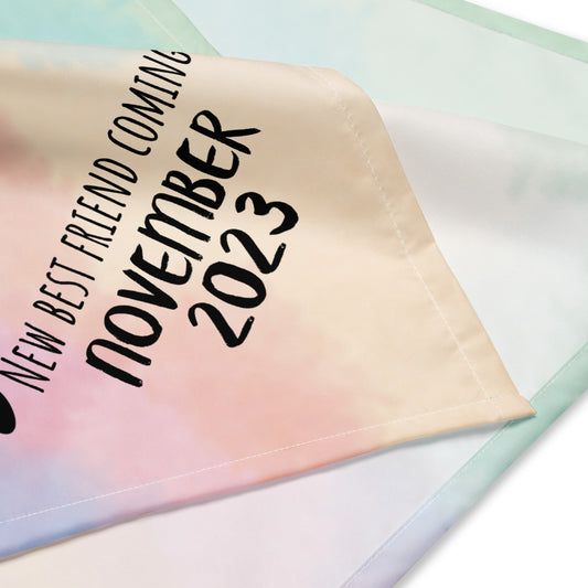 November 2023 Baby Announcement All-over print bandana