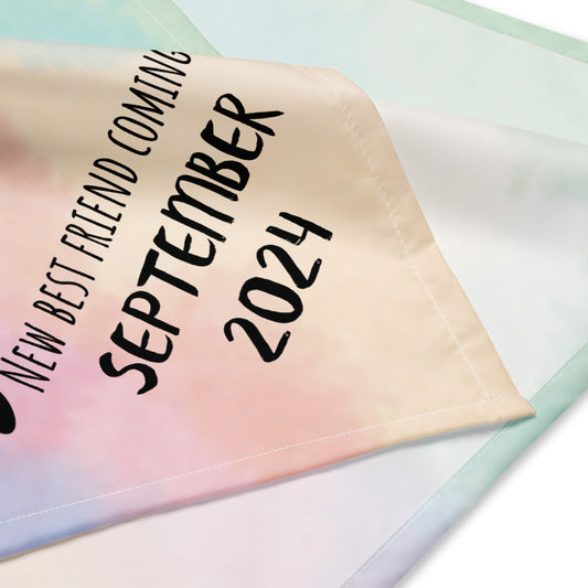 September 2024 Baby Announcement All-over print bandana