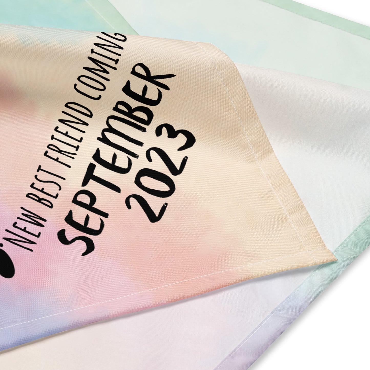 September 2023 Baby Announcement All-over print bandana