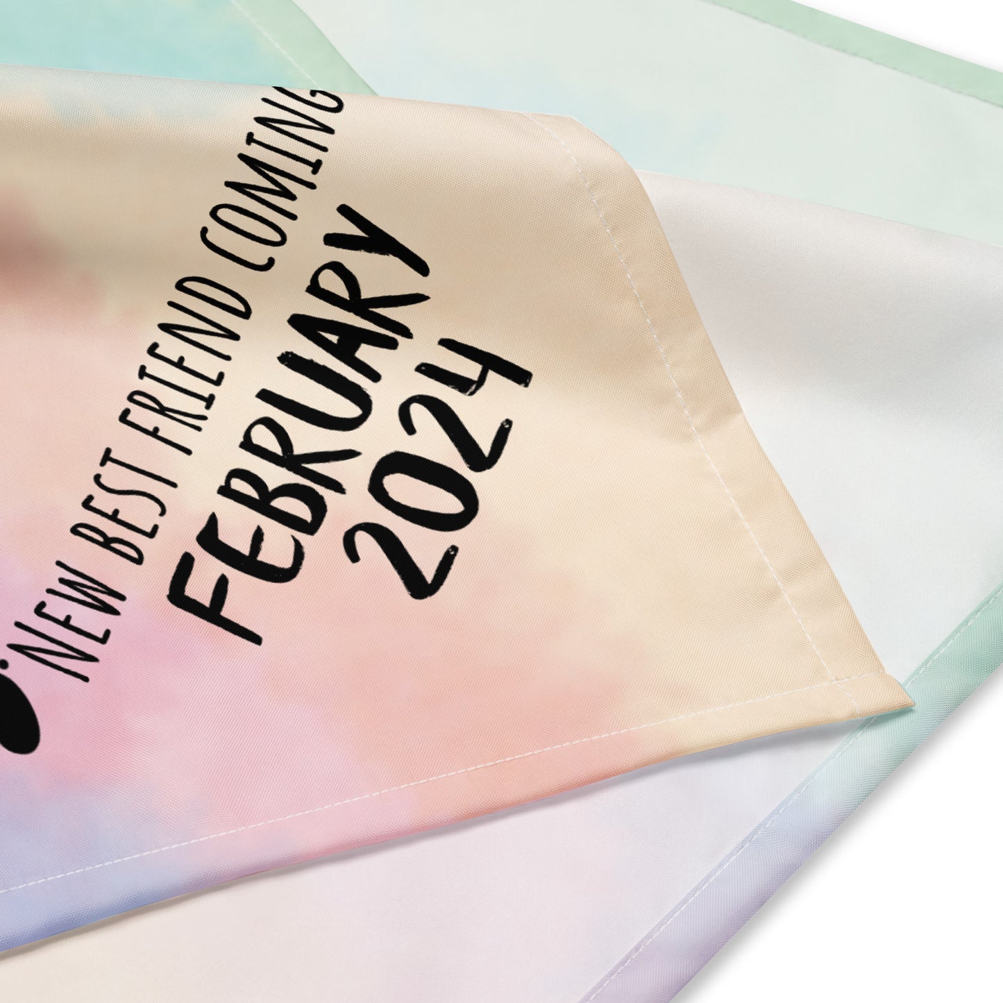 February 2024 Baby Announcement All-over print bandana