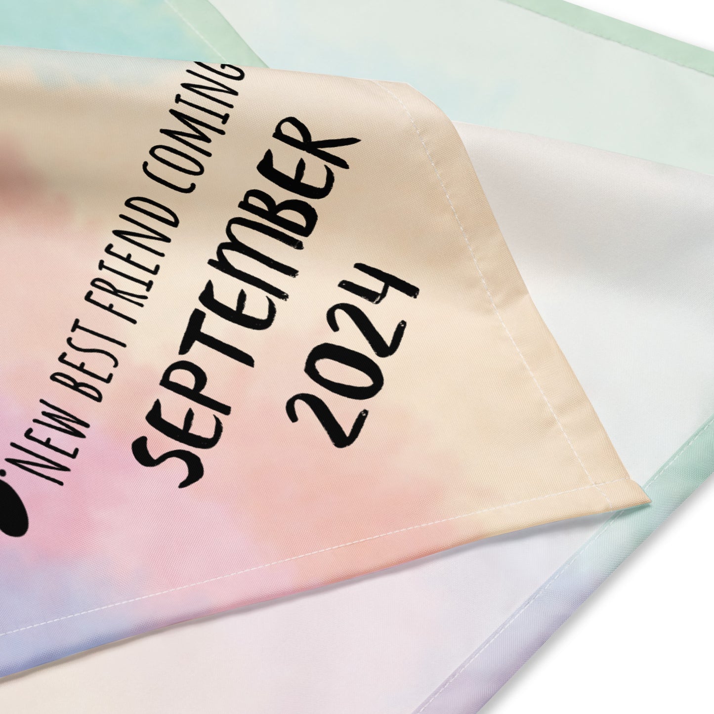 September 2024 Baby Announcement All-over print bandana