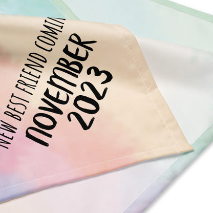 November 2023 Baby Announcement All-over print bandana