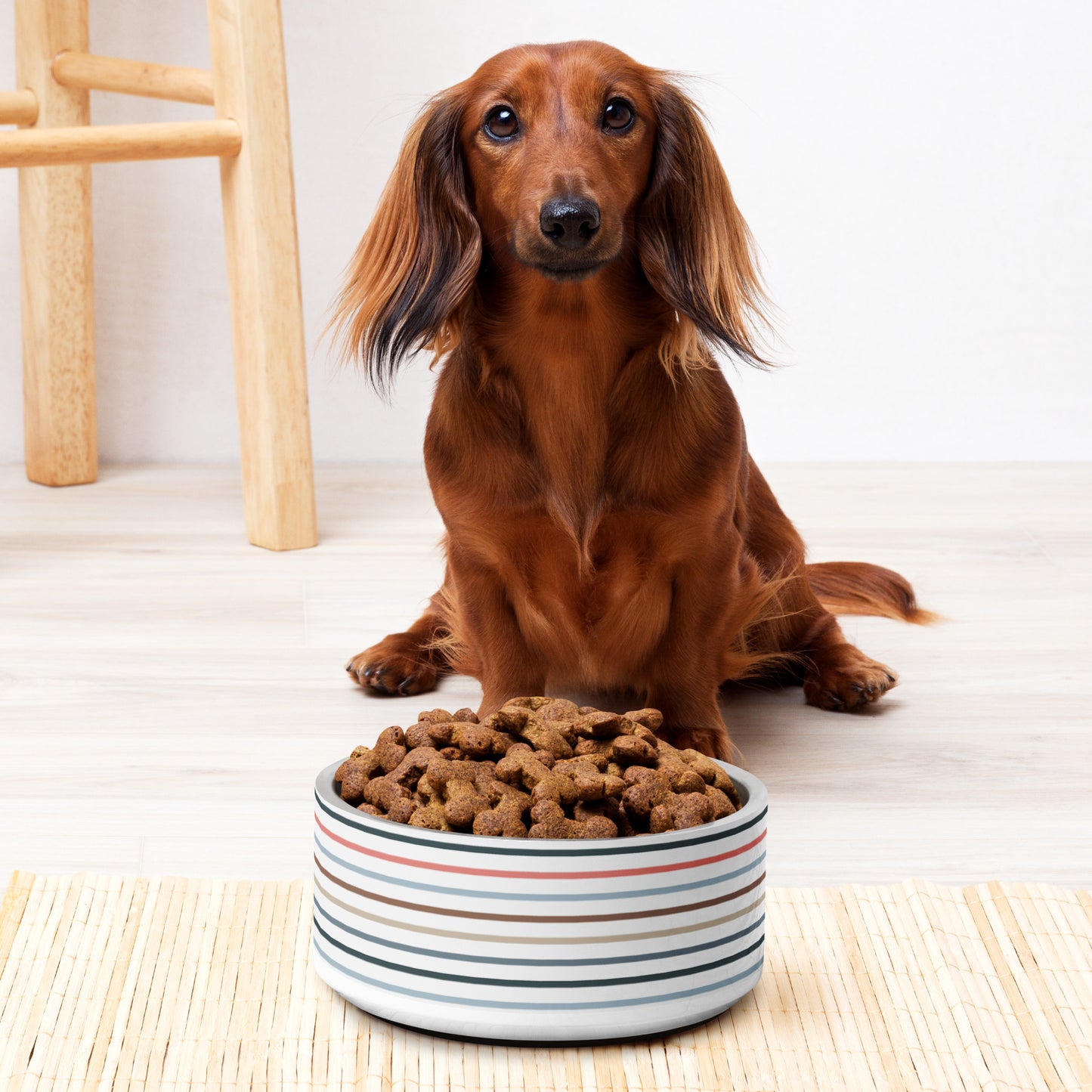 Striped Pet bowl