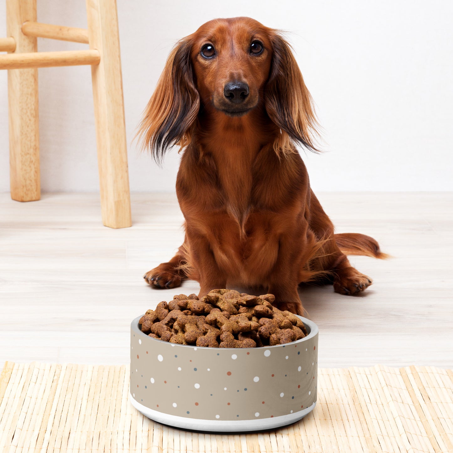 Spotted Pet bowl