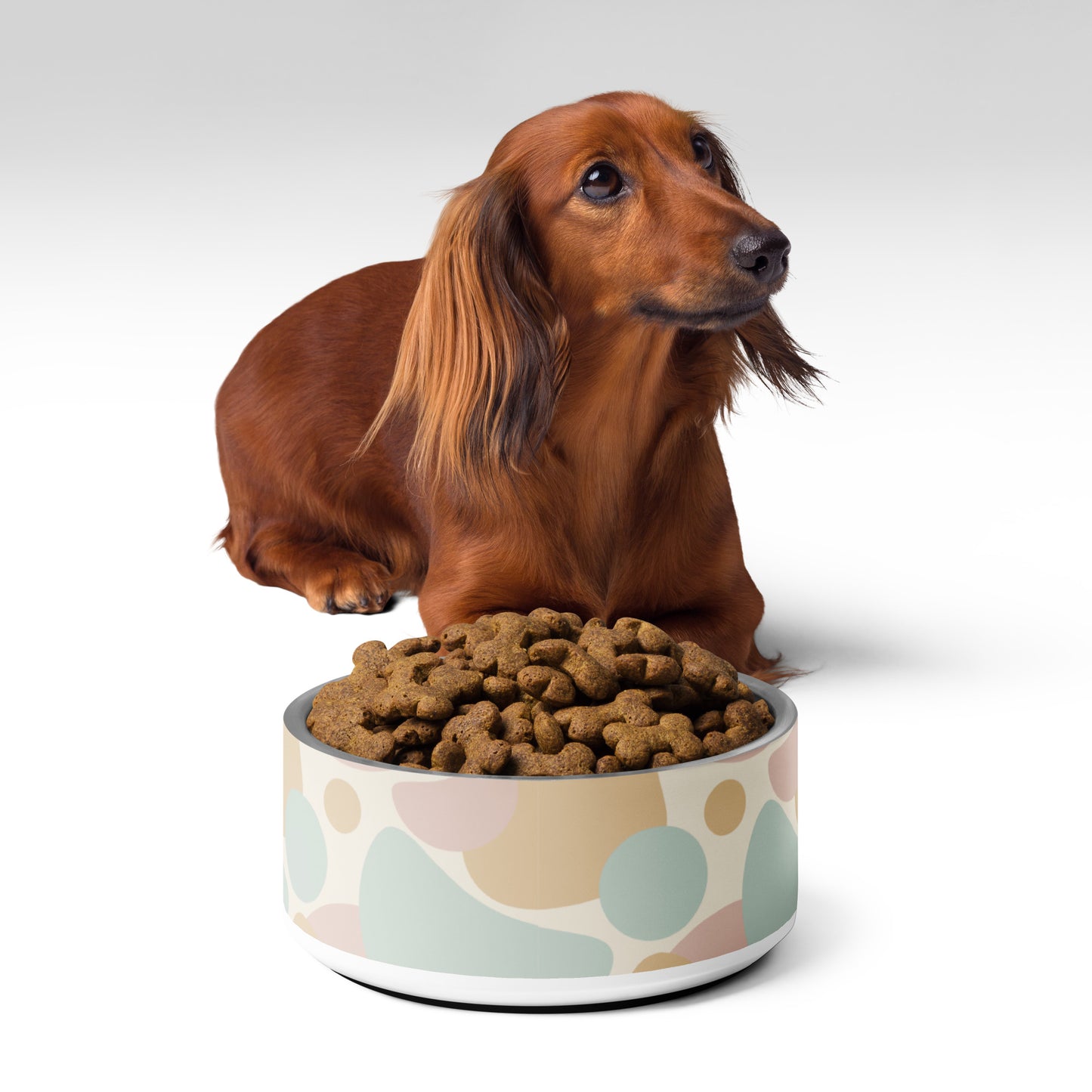 Neutral Spotted Pet bowl