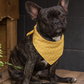 Herring'bone' Print Pet Bandana - In Yellow